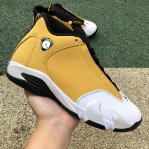 Jordan 14